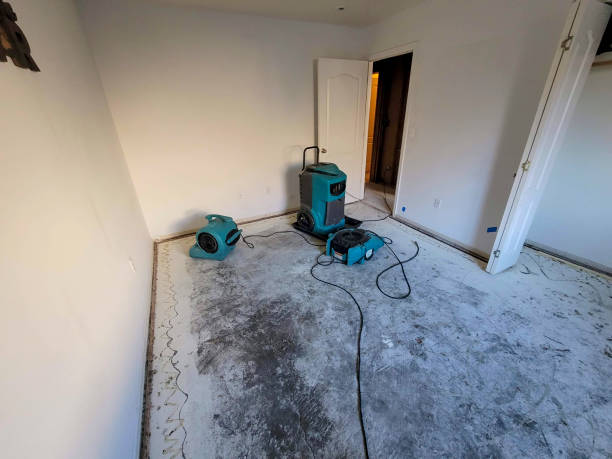 Best Local water damage restoration  in Hammond, WI