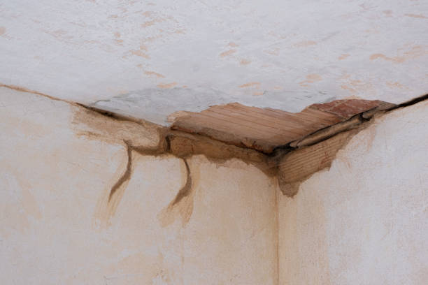 Best Local water damage restoration  in Hammond, WI