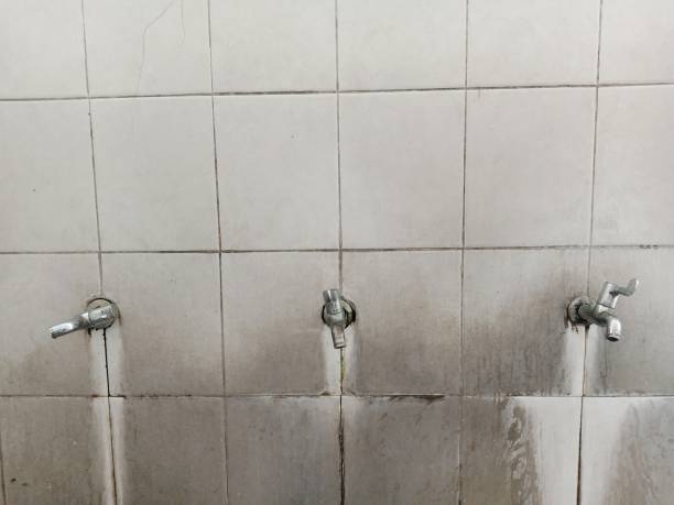Best Professional water damage repair  in Hammond, WI