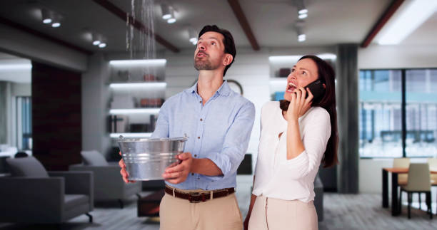 Best Fire Damage Restoration  in Hammond, WI