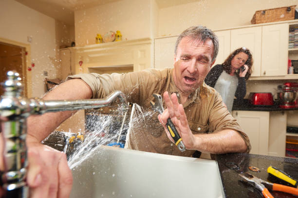 Best Basement water damage restoration  in Hammond, WI